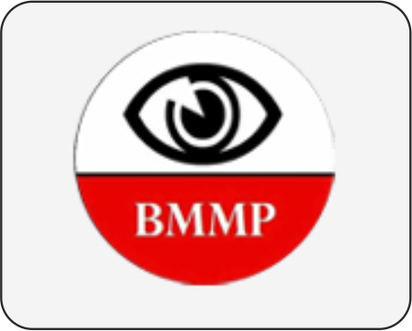 BMMP Power & System Controls 